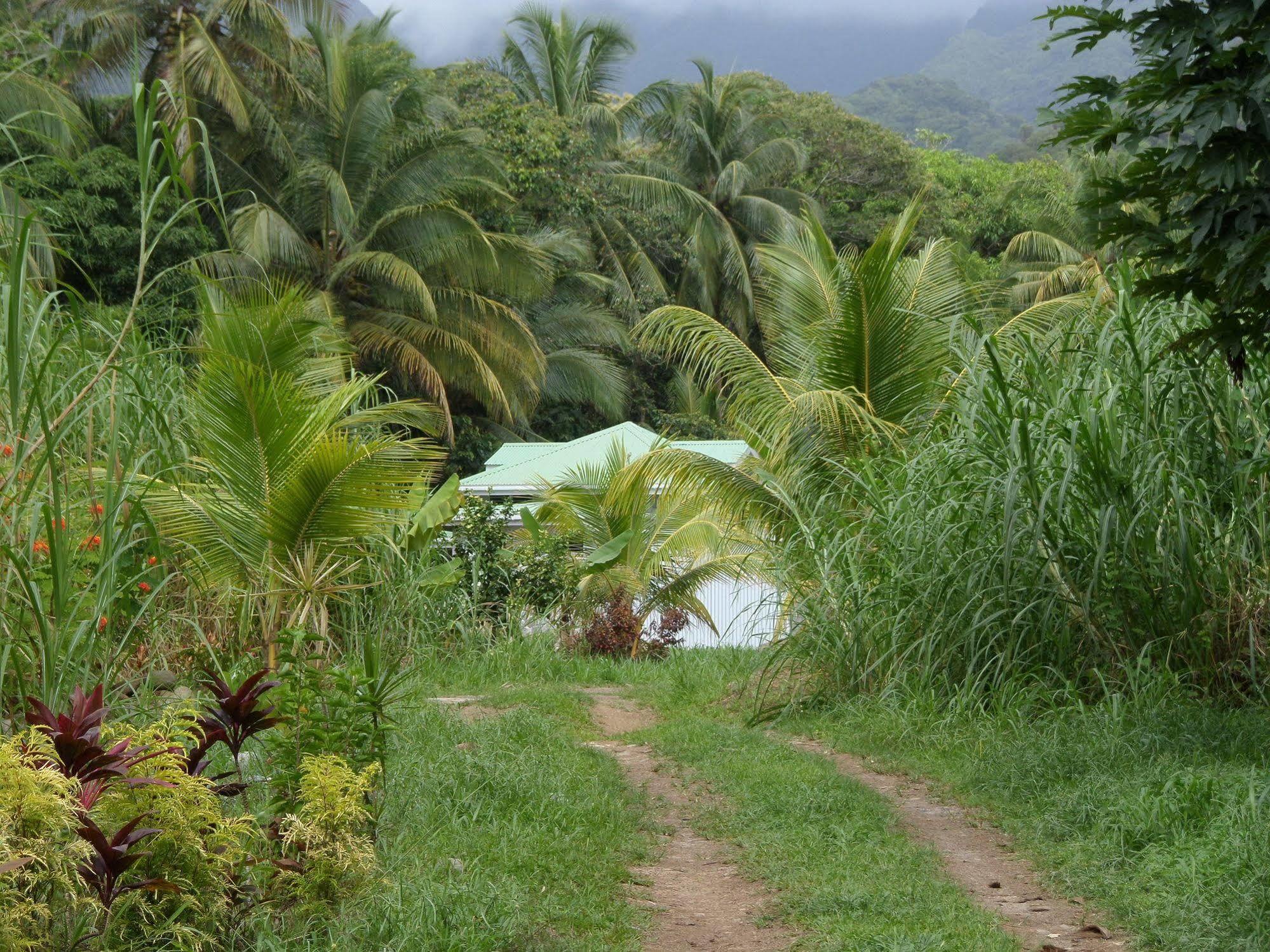 Ferienwohnungen Holder La Plaine ภายนอก รูปภาพ